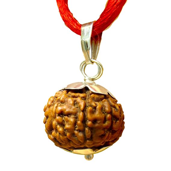 10 Mukhi Rudraksha – For Protection, Peace & Divine Blessings-Lab Certified