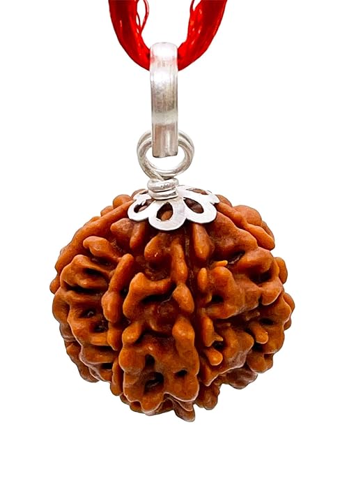 1 Mukhi Rudraksha – For Prosperity & Spiritual Growth-Lab Certified
