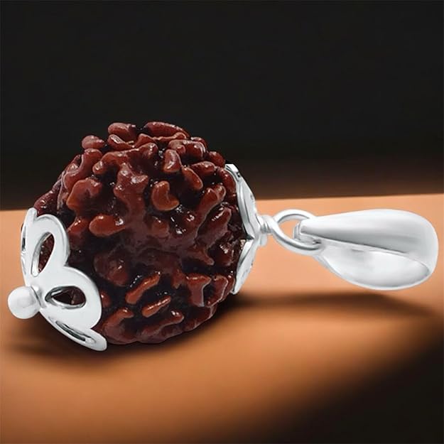 3 Mukhi Rudraksha โ For Confidence & Freedom from Past Karma-Lab Certified