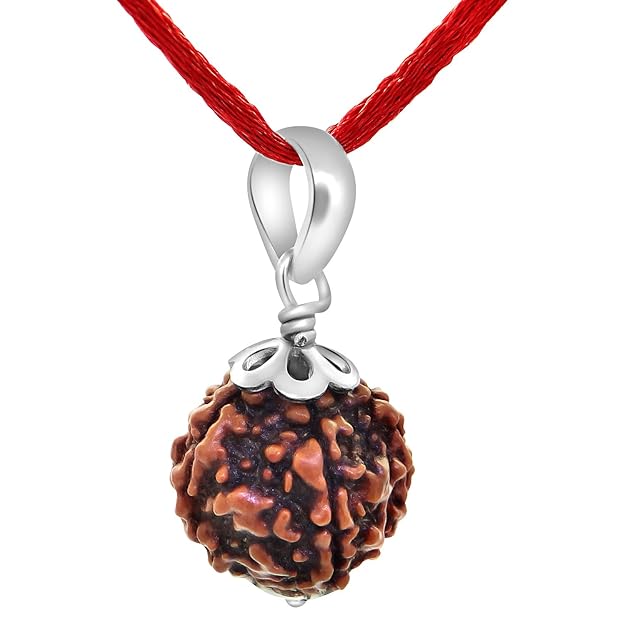 5 Mukhi Rudraksha – For Peace, Health & Spiritual Growth-Lab Certified