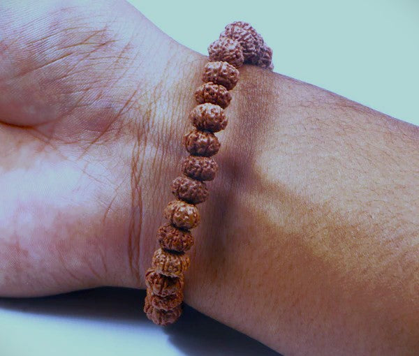 6 Mukhi Rudraksha Bracelet (Lab Certified) for Courage & Success