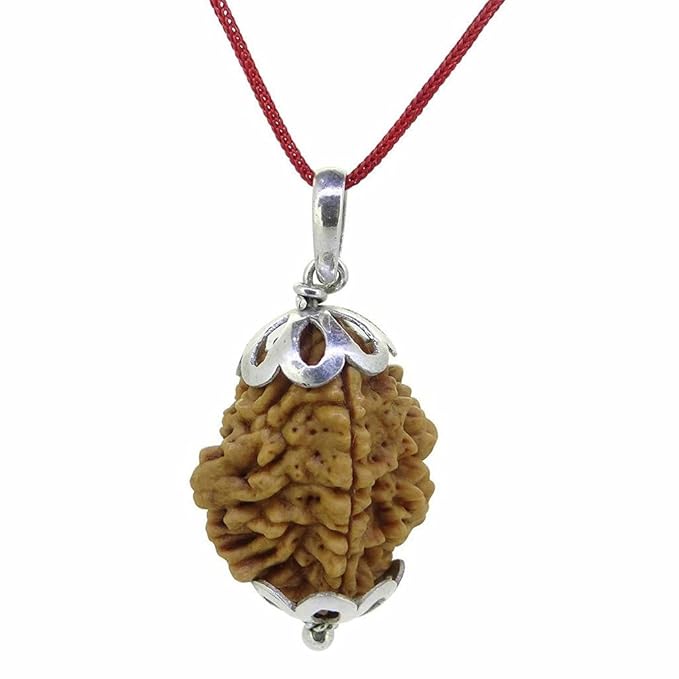 2 Mukhi Rudraksha – For Harmony, Relationships & Emotional Balance-Lab Certified
